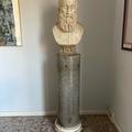 busto di Platone - Andrea da Fiesole 2