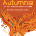 aspettando Autumnia - grafica 2024