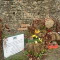 Autumnia2024_giardinodelpuglia