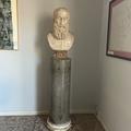 busto di Platone - Andrea da Fiesole