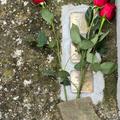 Memoria_Brollo_Pietre_Inciampo_Rose